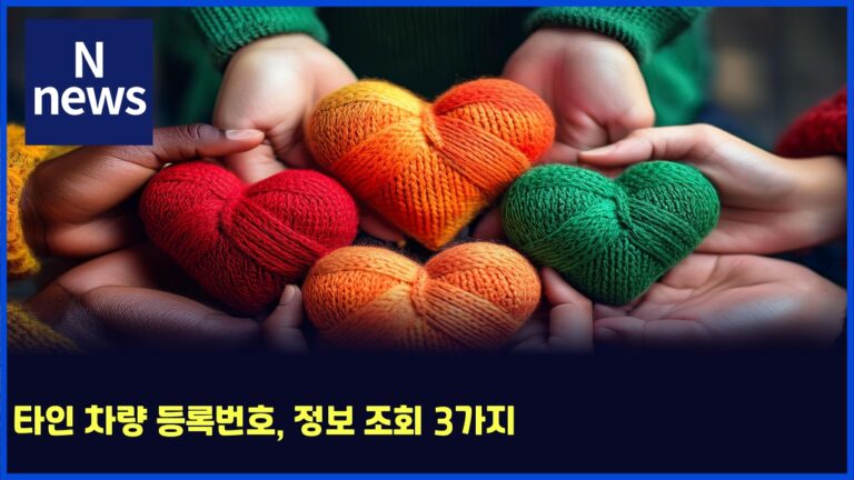 타인 차량 등록번호, 정보 조회 3가지 31 타인 차량 등록번호, 정보 조회 3가지
